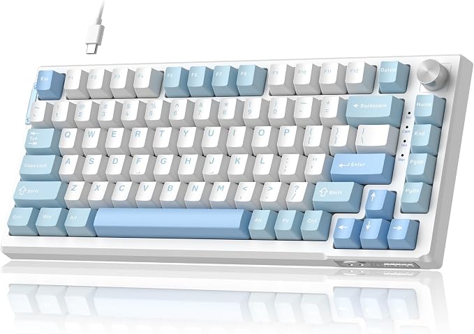 Ice Sea Blue / Pink Bear Switch