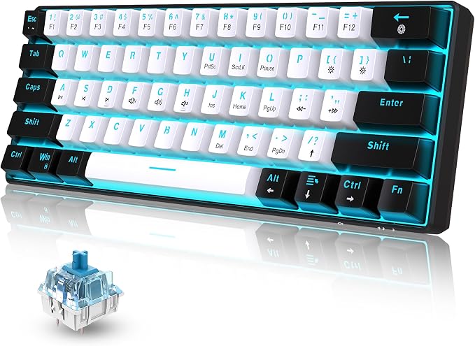 Black White(Ice Blue Light)/Blue Switch