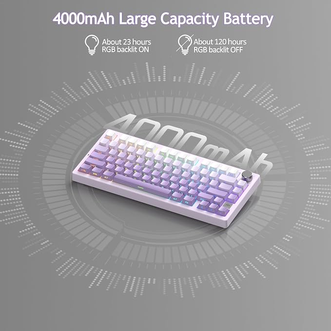 White Purple/Purple Bird Switch