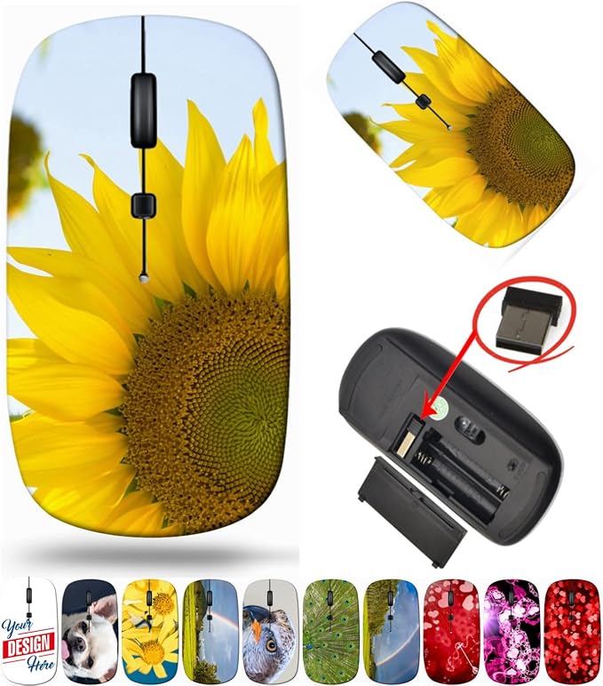 BYADAUaRBA_SUNFLOWER IS BLOSSOM_758