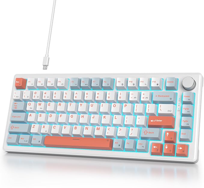 Salmon/White Switch