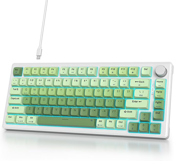 Light green/White Switch