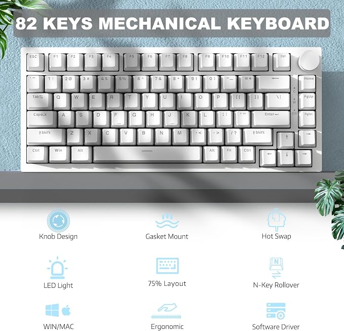 White (Green Switch)