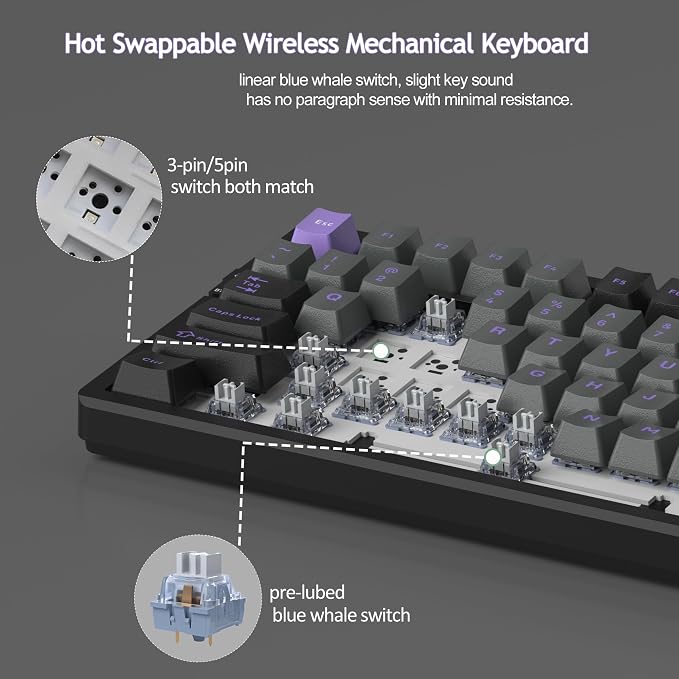 Black Purple/Blue Whale Switch