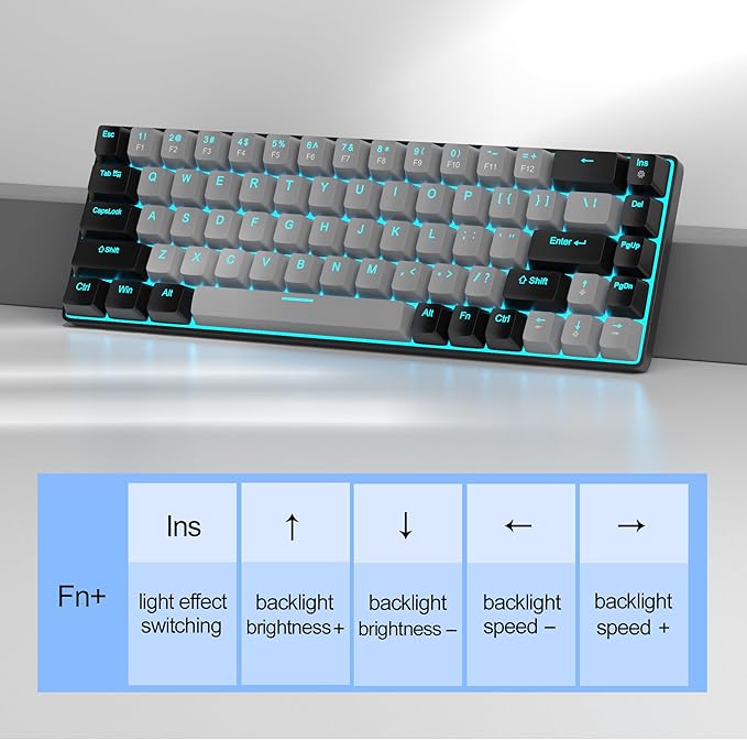 Grey/Blue Switch