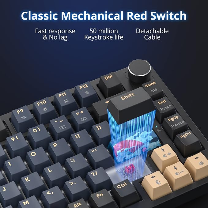 BlueSamurai-RedSwitch