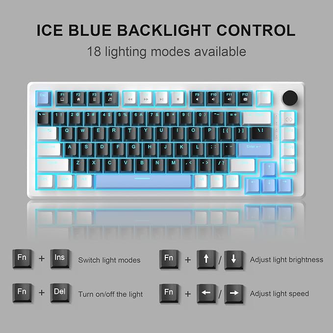 Black & Blue - Black Switch