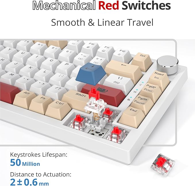 YellowWhite-RedSwitch