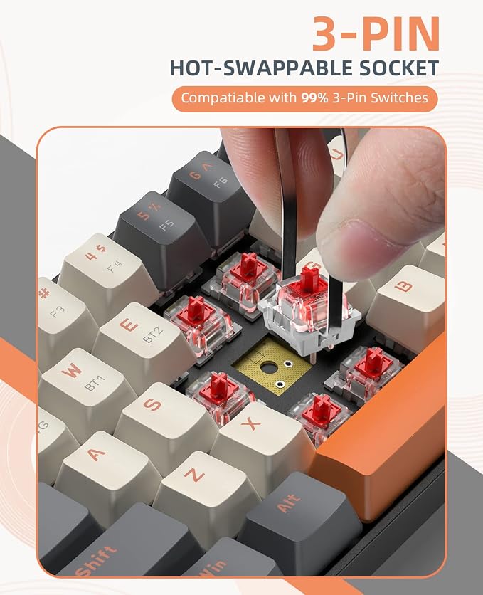 white & Orange/Red Switch