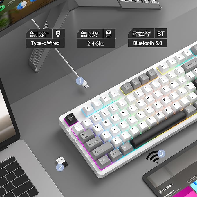 White Grey/Blue Whale Switch