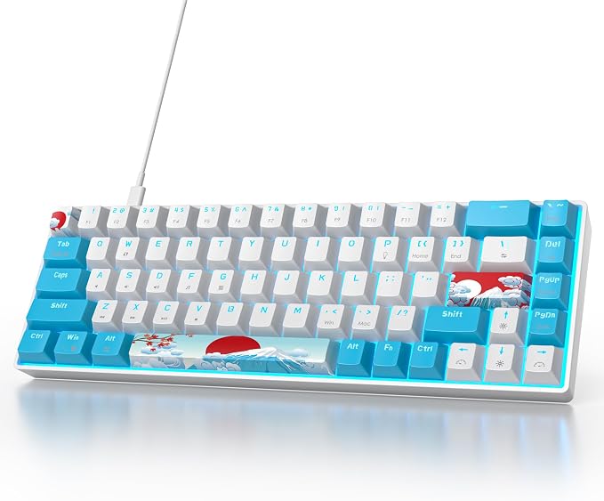 Blue/Blue Switch