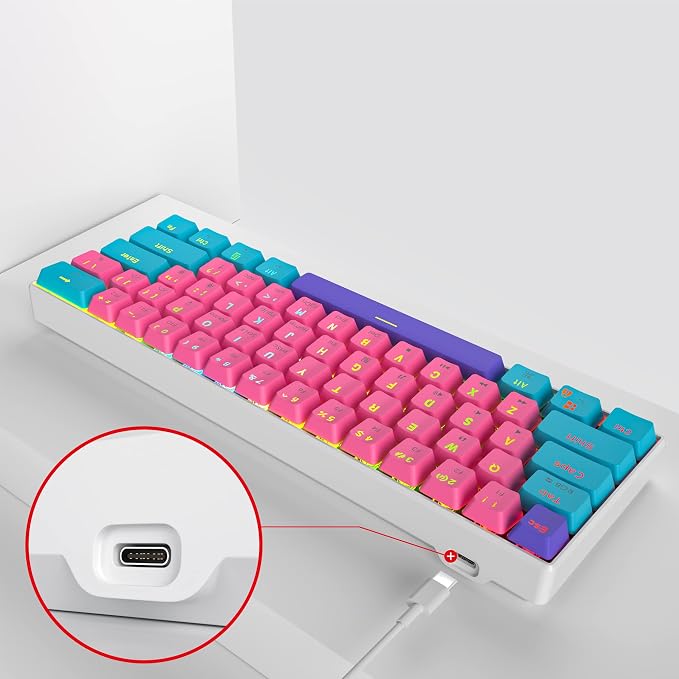 61 Zhi/Red Switch