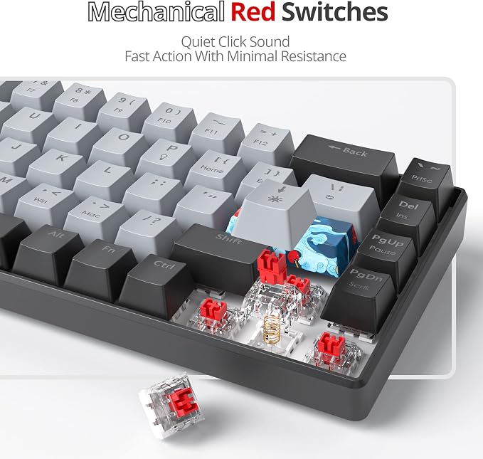 Dolch/red Switch 68