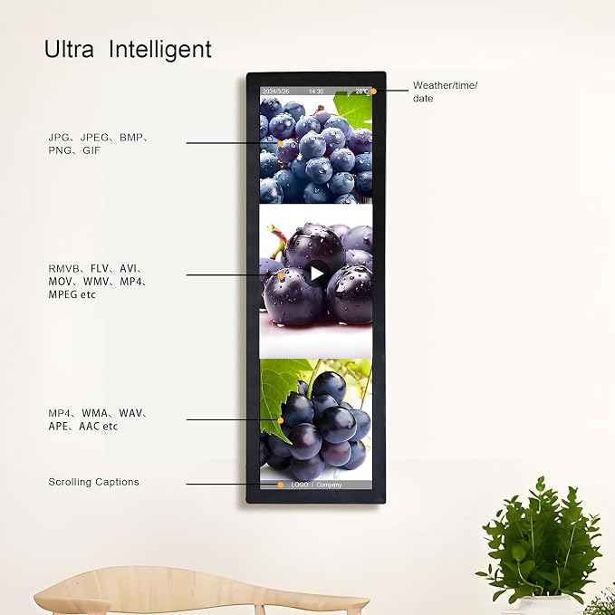 28.6'' Advertising LCD Monitor