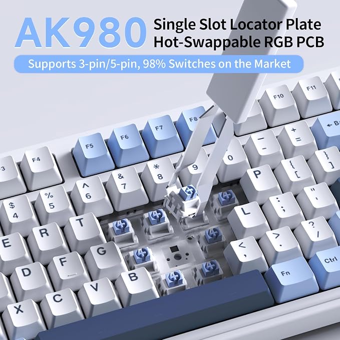 AK980 Blue White