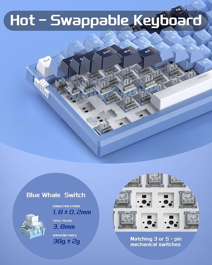 Prussian Blue / Blue Whale Switch