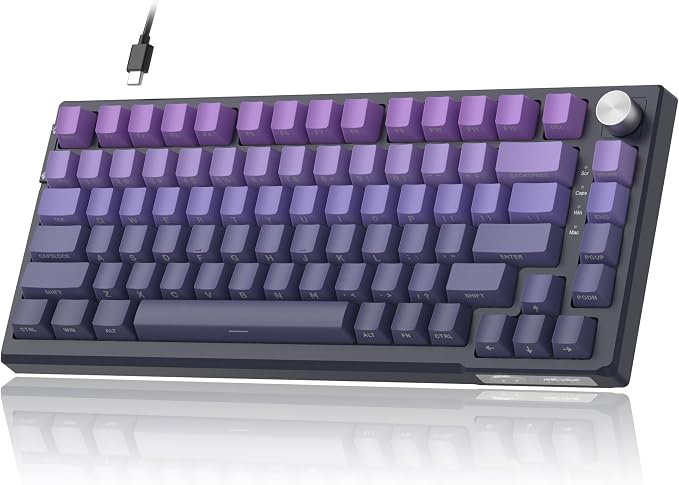 Dark Purple / Blue Whale Switch