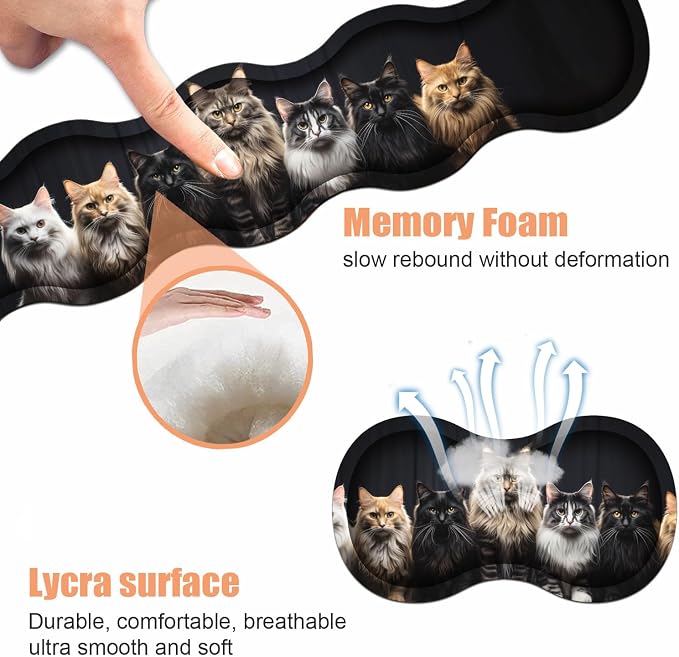 A Group Fluffy Cats Stand in a Row