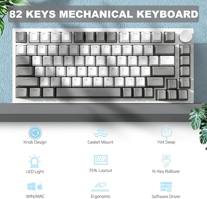 White Grey (AS Switch)