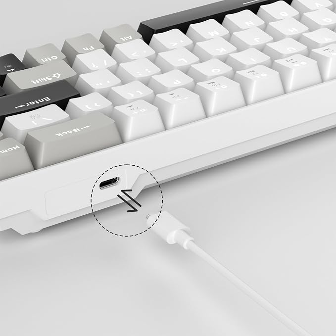 White Grey/Red Switch