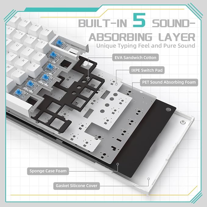 white/blue switches