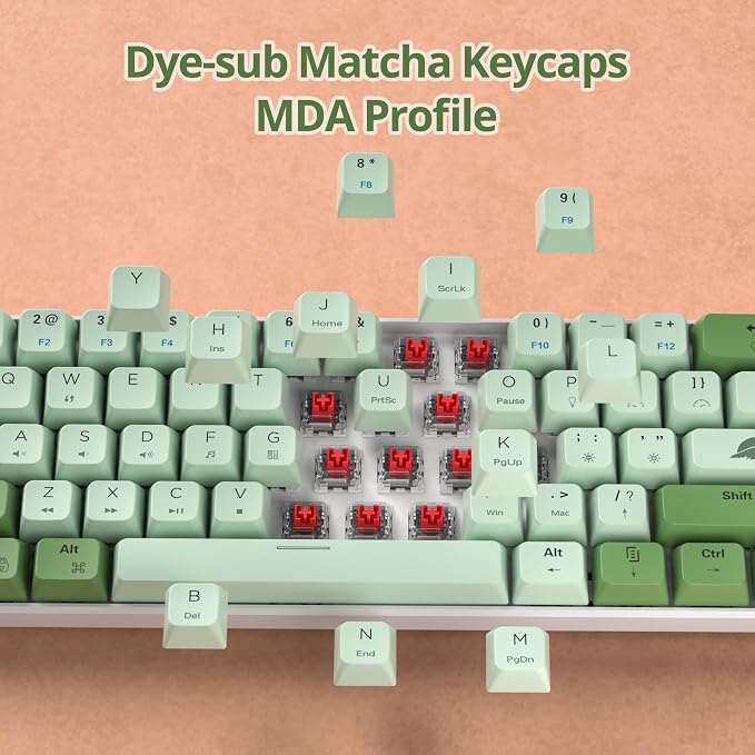 61 Matcha