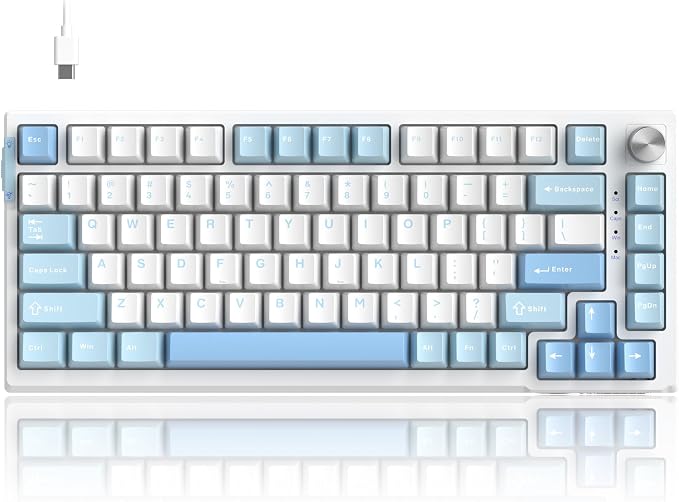 Ice Sea Blue / Pink Bear Switch
