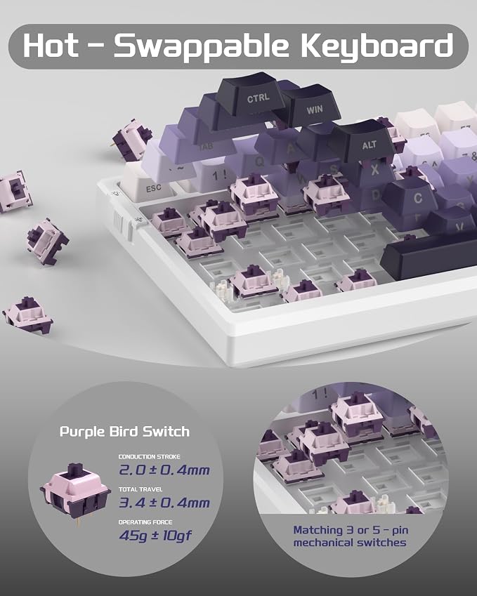 Side Printed Purple / Purple Bird Switch