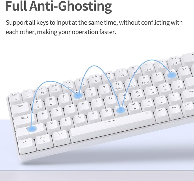 White/Blue Switch
