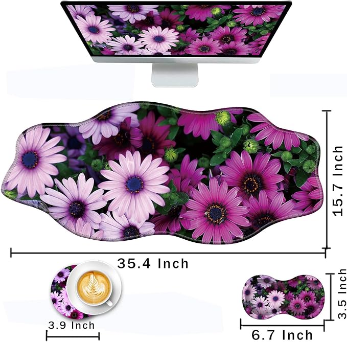 African Daisy