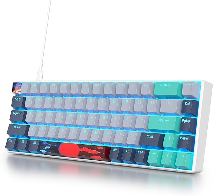 Hammerhead Shark/ 68 Red Switch