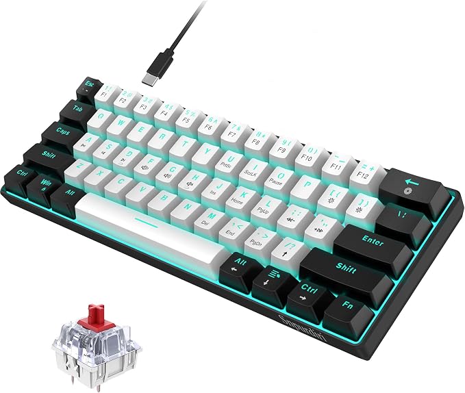 Black White(Ice Blue Light)/Red Switch
