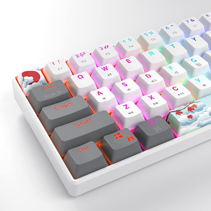 White/ Red Switch