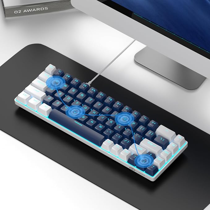 Blue/Blue Switch