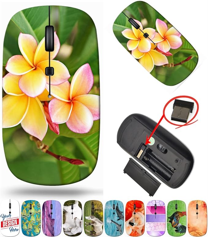 BYADAUaMEA_BEAUTIFUL FRANGIPANI_150
