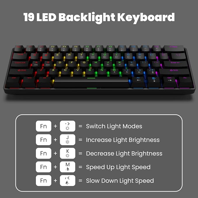 Black+Mouse