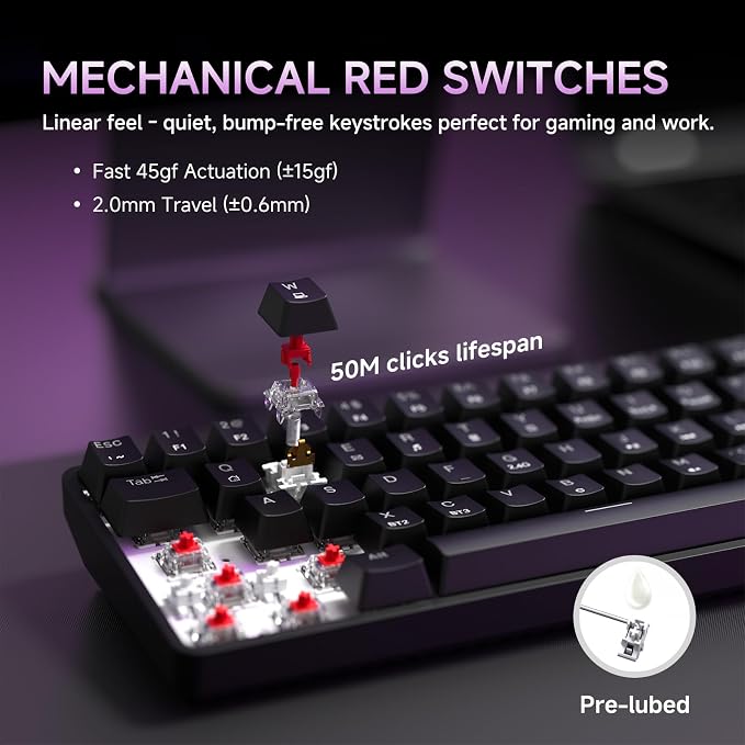 Black/Red Switch