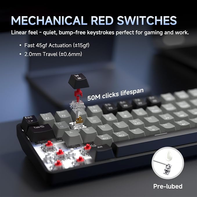 Black Grey/Red Switch