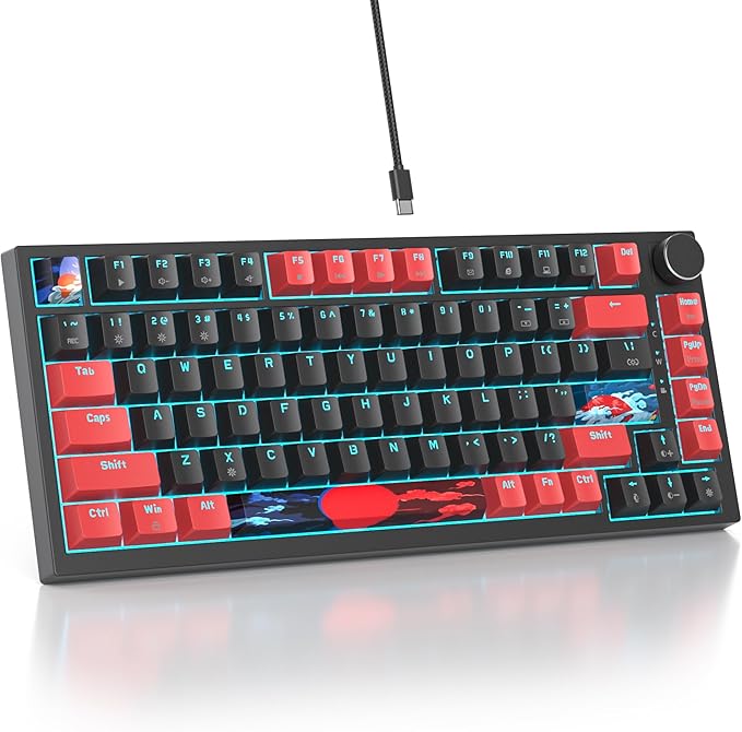 Red Black /Red Switch