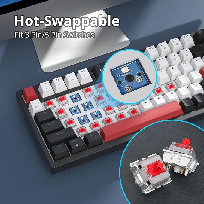 White /Red Switch
