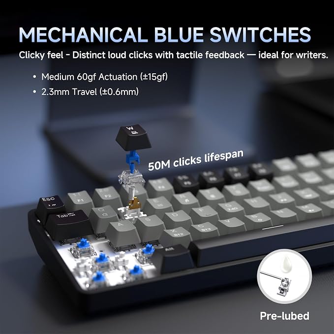 Black Grey/Blue Switch