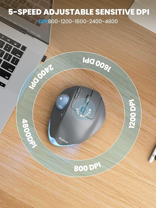 Gray Mouse