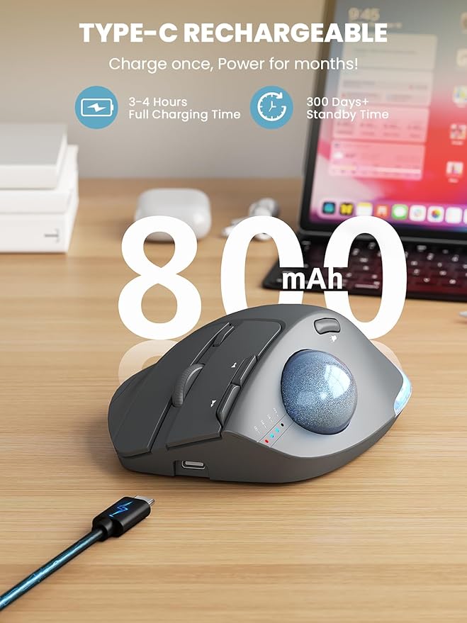 Gray Mouse