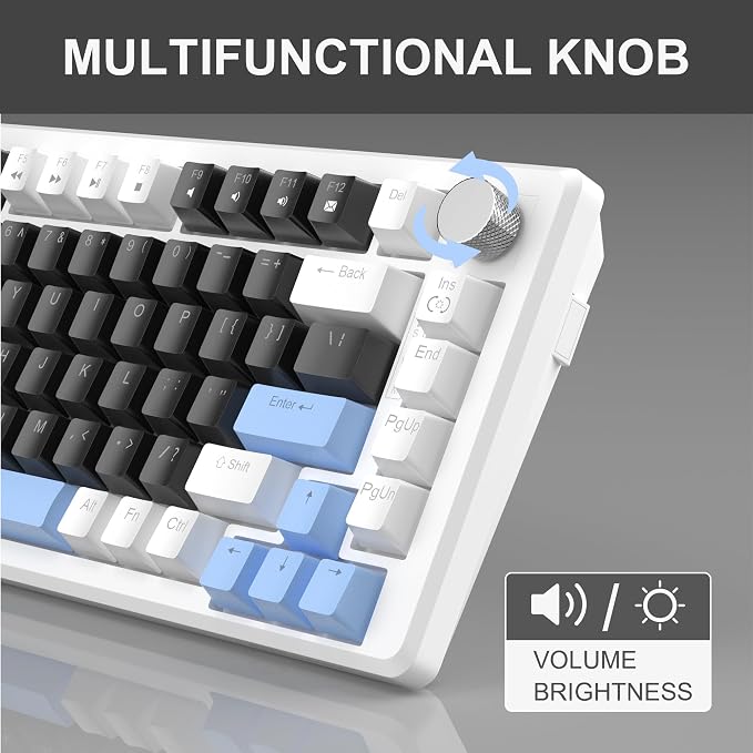 Black & Blue - Black Switch