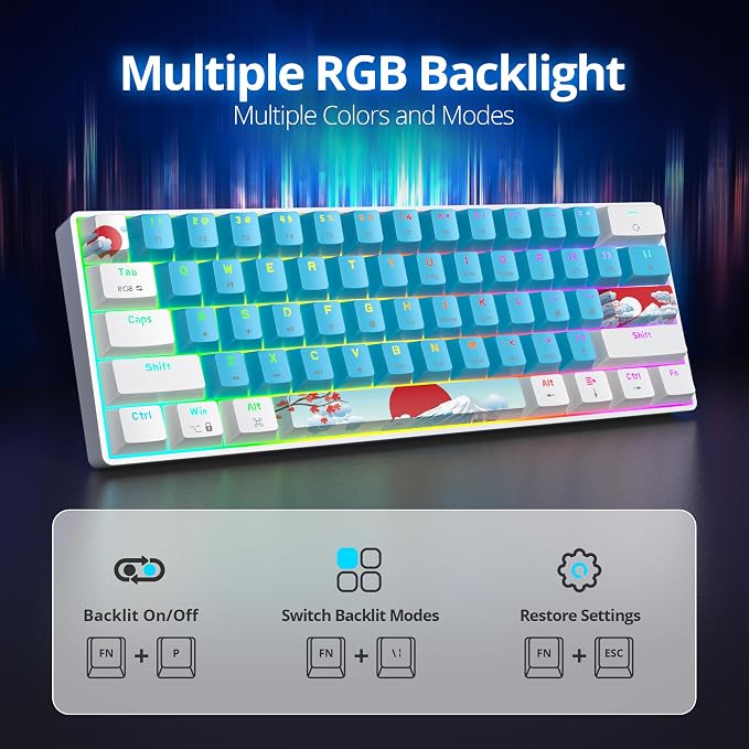 61 Blue/Red Switch