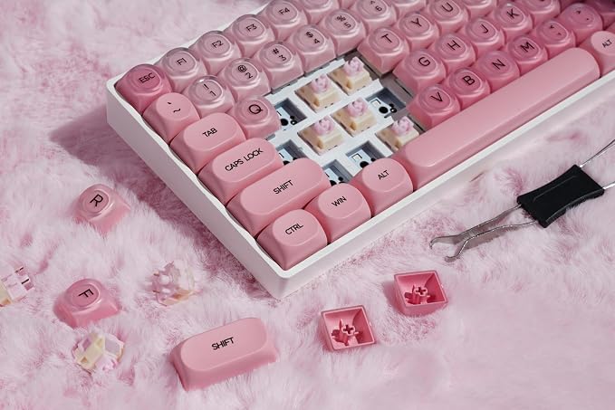 Pink Foundation