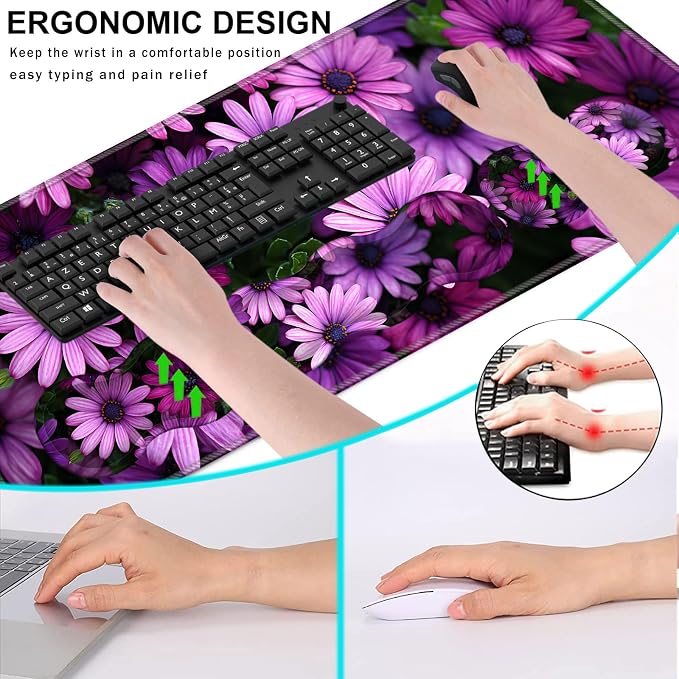 African Daisy