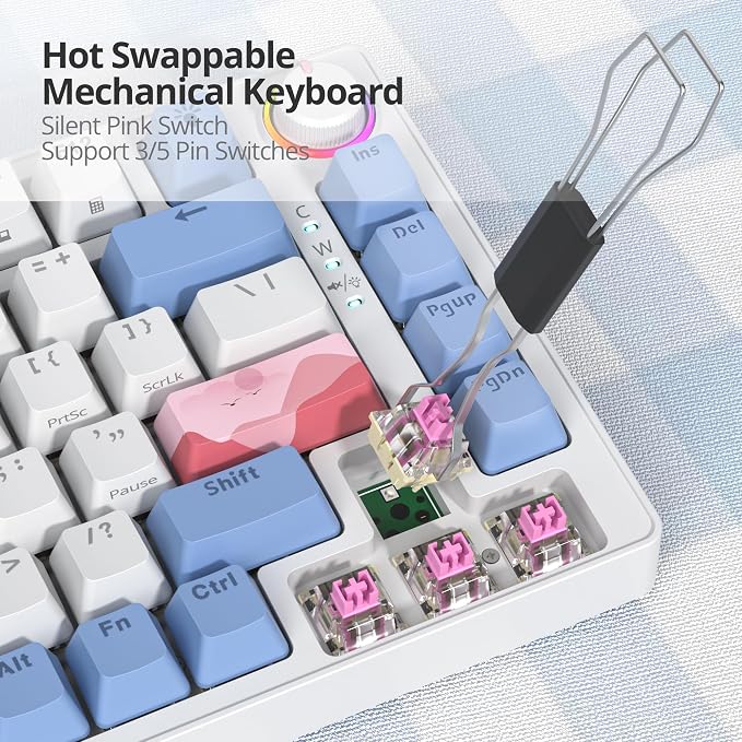 82 Pink/Pink Switch