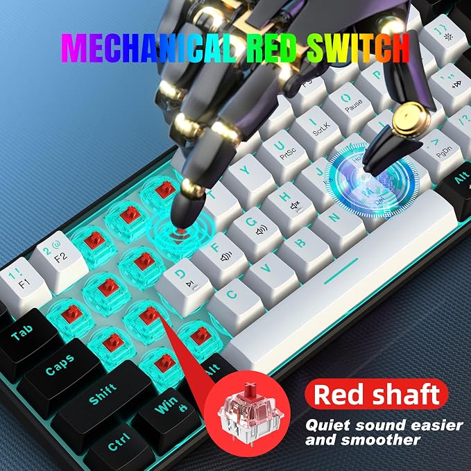 Black White(Ice Blue Light)/Red Switch