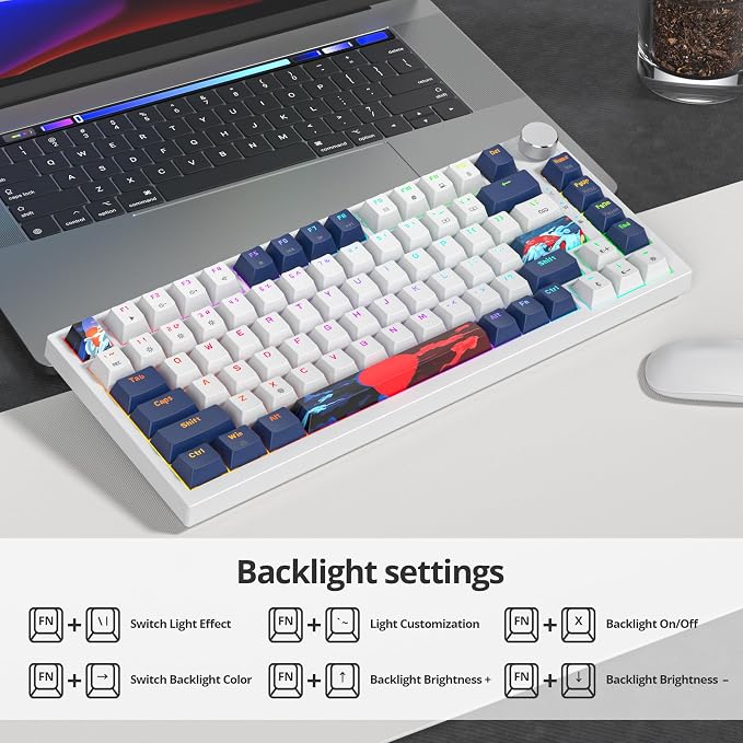 82 Blue White/Red Switch